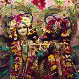 VIP Darshan & Puja